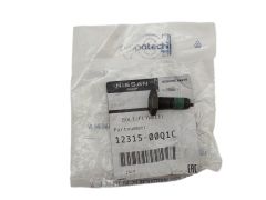 Bolt Original 1231500Q1C 123156846R Renault Nissan