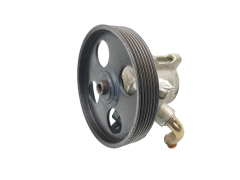 Servopumpe 9627146880 26059932 9608871080 Citroen Peugeot