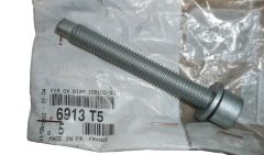 Bolt 10X150-80 Ny Original 6913.T5 6913T5 Citroen Peugeot