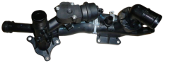 Termostathus Original Renault Megane III 1.6 dCi 110600686R