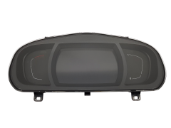 Speedometer Renault Scenic 4 248100254R 7734