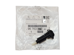 Sprinklerdyse Original Citroen C4 Picasso 9676307480