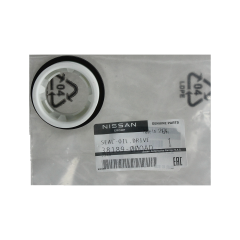 Lejetætning Renault 3818900QAD