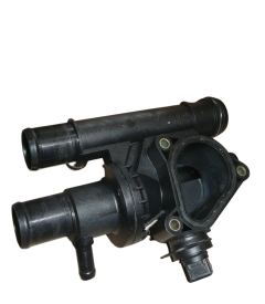 Termostathus Renault Espace IV 2,2 DCI 8200154296