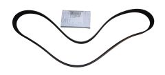 Generatorrem Original 6PK 117202503R Renault