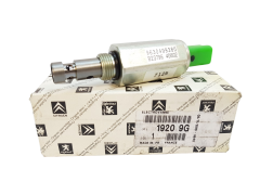 Magnetventil Original Citroen Peugeot C5 C8 2.2 19209G