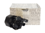 Vandpumpe Renault 210101348R Original