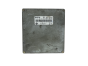 Styreenhed 23710 74B61 0261204247 74B61-24800 Nissan Bosch 52199