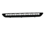 Kofangergitter 5NA853677 88531793602 VW Tiguan DPA