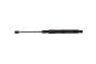 Motorhjelmstiver Gør Mercedes-Benz A2059800464 B12484 Borsehung