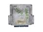 Styreenhed 8200039569 8200078730 0281001934 Renault Bosch 63162