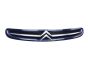 Kølergrill 7804J7 9632099177 Citroen Xsara Picasso 99-03 1013
