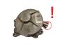 Vakuumpumpe 8200520476 2.0 DCI Renault Bosch 5169