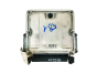 Styreenhed PSA 0281010252 9635158180 28FM0163 Bosch 31177