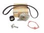 Tandremssæt Renault 119A02421R Original