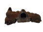 Udstødningsmanifold 306678 Citroen Peugeot 12334