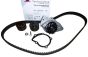 Drivremstrammer Gør Citroen Peugeot KH 189WP31 1609524880 Hutchinson
